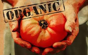 Saiba como funciona a produção livre de agrotóxicos 